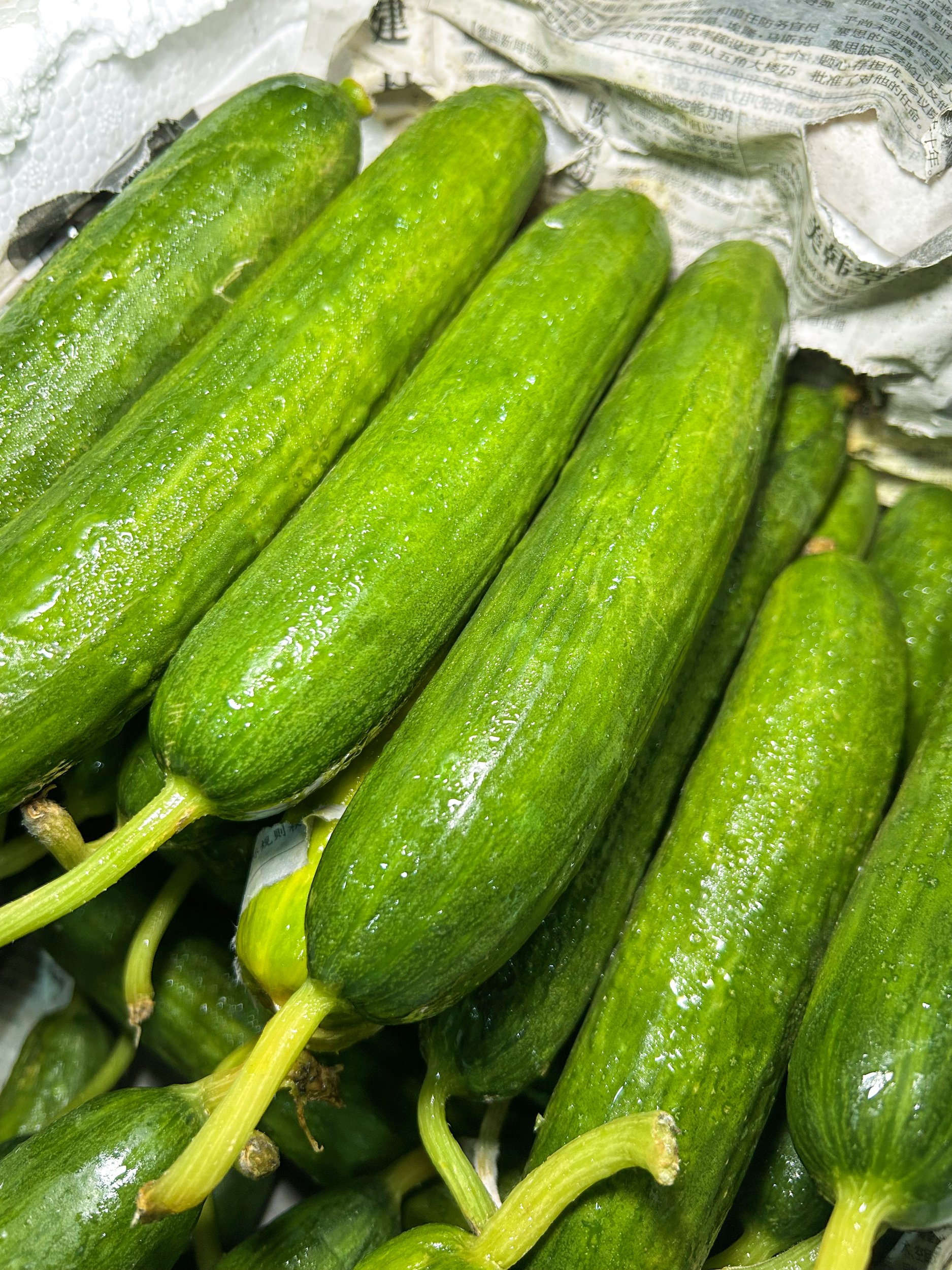 菜多多实拍蔬菜图 (8)